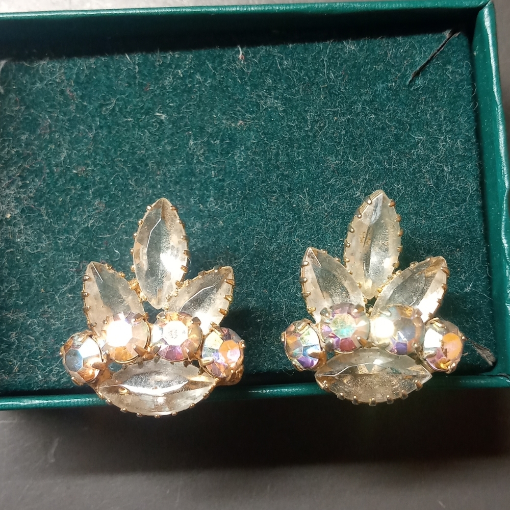 Vintage clasp earrings